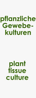 slider2_1