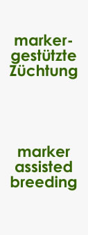 slider2_3